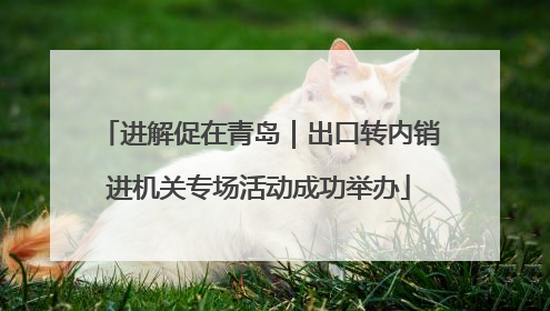 进解促在青岛｜出口转内销进机关专场活动成功举办