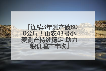 连续3年测产破800公斤！山农43号小麦测产持续稳定 助力粮食增产丰收