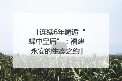连续6年邂逅“蝶中皇后”：福建永安的生态之约