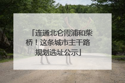 连通北仑霞浦和柴桥！这条城市主干路规划选址公示