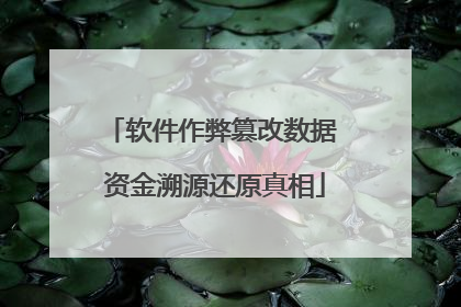 软件作弊篡改数据 资金溯源还原真相