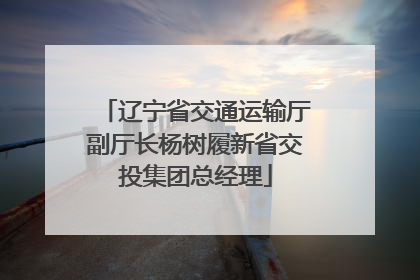 辽宁省交通运输厅副厅长杨树履新省交投集团总经理