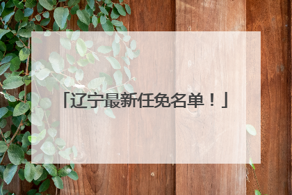 辽宁最新任免名单！