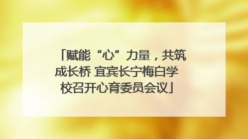 赋能“心”力量，共筑成长桥 宜宾长宁梅白学校召开心育委员会议