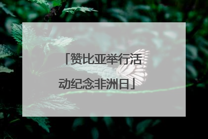 赞比亚举行活动纪念非洲日