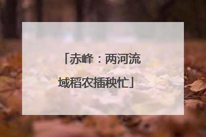赤峰：两河流域稻农插秧忙