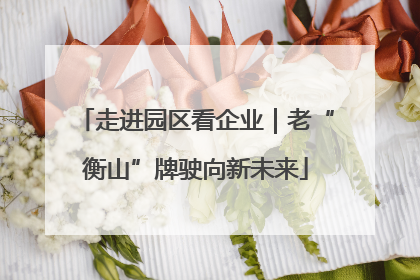 走进园区看企业｜老“衡山”牌驶向新未来