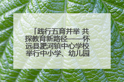 践行五育并举 共探教育新路径——怀远县淝河镇中心学校举行中小学、幼儿园班主任论坛活动