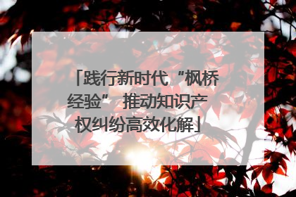 践行新时代“枫桥经验” 推动知识产权纠纷高效化解