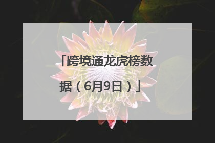 跨境通龙虎榜数据（6月9日）