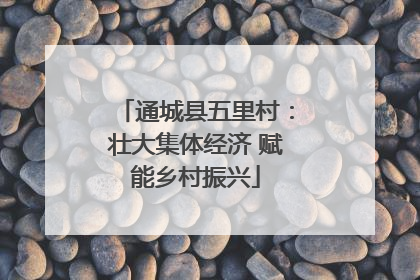 通城县五里村：壮大集体经济 赋能乡村振兴