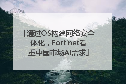 通过OS构建网络安全一体化，Fortinet看重中国市场AI需求