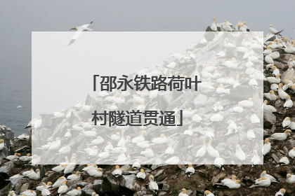 邵永铁路荷叶村隧道贯通