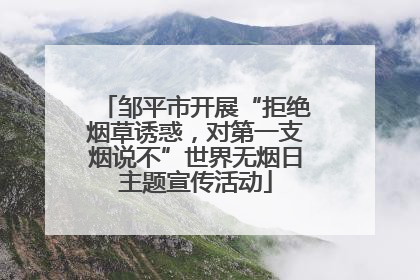 邹平市开展“拒绝烟草诱惑，对第一支烟说不”世界无烟日主题宣传活动