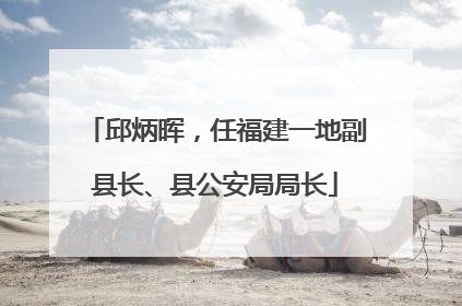 邱炳晖，任福建一地副县长、县公安局局长