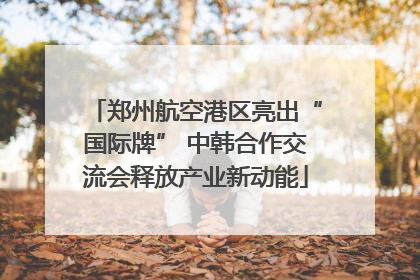 郑州航空港区亮出“国际牌” 中韩合作交流会释放产业新动能