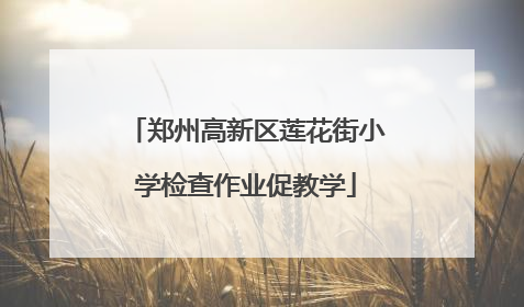 郑州高新区莲花街小学检查作业促教学