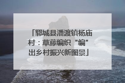郓城县潘渡镇杨庙村：草藤编织“编”出乡村振兴新图景