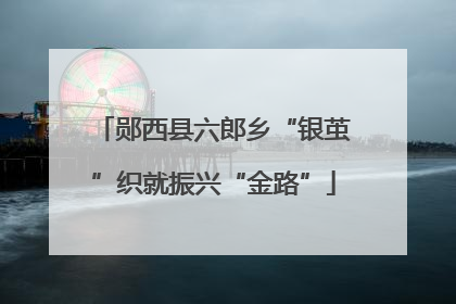 郧西县六郎乡“银茧”织就振兴“金路”