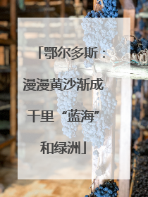 鄂尔多斯：漫漫黄沙渐成千里“蓝海”和绿洲