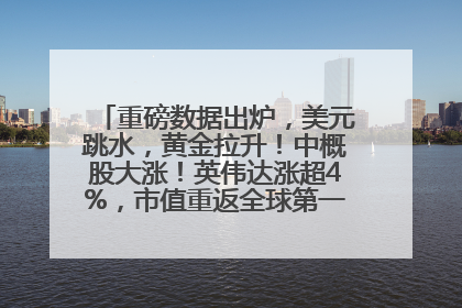重磅数据出炉，美元跳水，黄金拉升！中概股大涨！英伟达涨超4%，市值重返全球第一！黄仁勋计划出售至多600万股股票