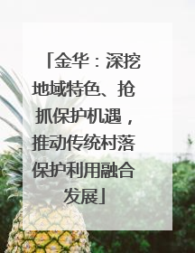 金华：深挖地域特色、抢抓保护机遇，推动传统村落保护利用融合发展