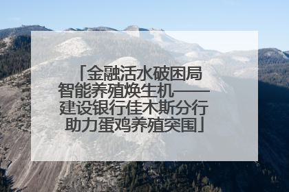 金融活水破困局 智能养殖焕生机——建设银行佳木斯分行助力蛋鸡养殖突围