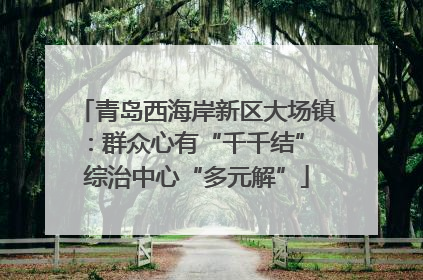 青岛西海岸新区大场镇：群众心有“千千结” 综治中心“多元解”