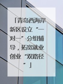 青岛西海岸新区设立“一对一”分组辅导，拓宽就业创业“双路径”