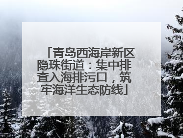 青岛西海岸新区隐珠街道：集中排查入海排污口，筑牢海洋生态防线