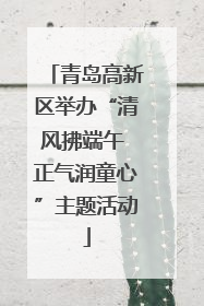 青岛高新区举办“清风拂端午 正气润童心”主题活动