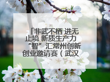 非武不栖 进无止境 新质生产力“智”汇常州创新创业邀请赛（武汉站）圆满举办