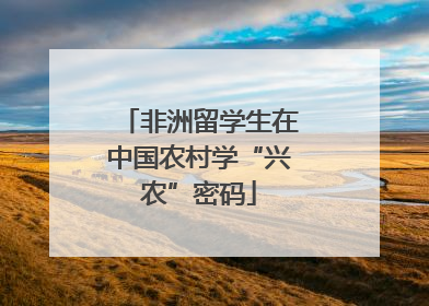 非洲留学生在中国农村学“兴农”密码