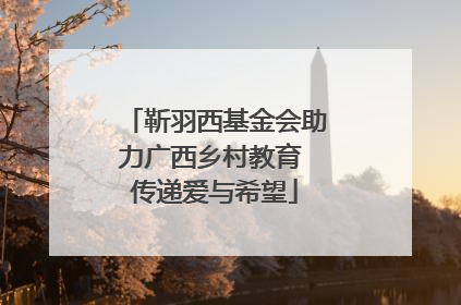 靳羽西基金会助力广西乡村教育 传递爱与希望