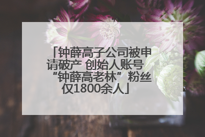 钟薛高子公司被申请破产 创始人账号“钟薛高老林”粉丝仅1800余人