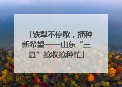 铁犁不停歇，播种新希望——山东“三夏”抢收抢种忙