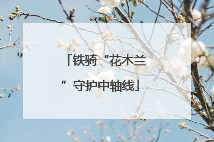 铁骑“花木兰”守护中轴线
