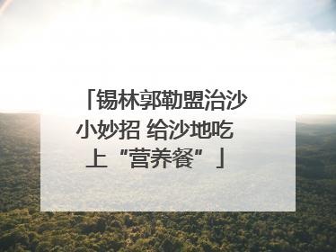 锡林郭勒盟治沙小妙招 给沙地吃上“营养餐”