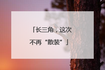 长三角，这次不再“散装”