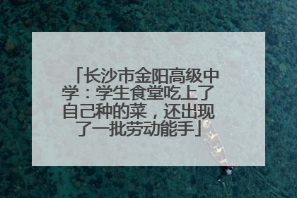 长沙市金阳高级中学：学生食堂吃上了自己种的菜，还出现了一批劳动能手
