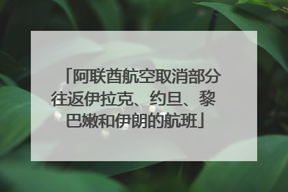 阿联酋航空取消部分往返伊拉克、约旦、黎巴嫩和伊朗的航班