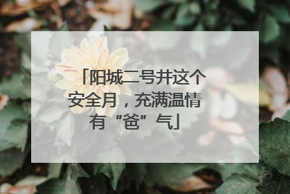阳城二号井这个安全月，充满温情有“爸”气