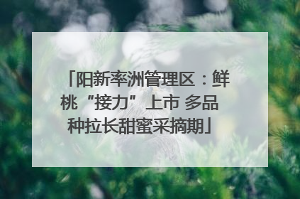 阳新率洲管理区：鲜桃“接力”上市 多品种拉长甜蜜采摘期
