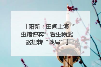 阳新：田间上演“虫粮博弈”看生物武器扭转“战局”