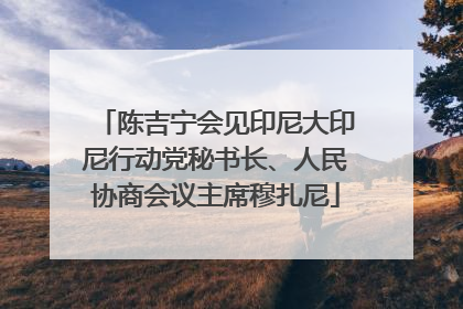 陈吉宁会见印尼大印尼行动党秘书长、人民协商会议主席穆扎尼