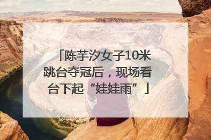 陈芋汐女子10米跳台夺冠后，现场看台下起“娃娃雨”