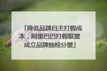 降低品牌自主打假成本，阿里巴巴打假联盟成立品牌抽检分盟