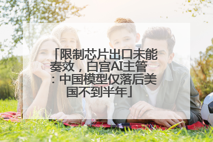 限制芯片出口未能奏效，白宫AI主管：中国模型仅落后美国不到半年