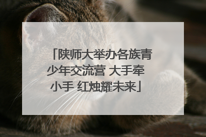 陕师大举办各族青少年交流营 大手牵小手 红烛耀未来