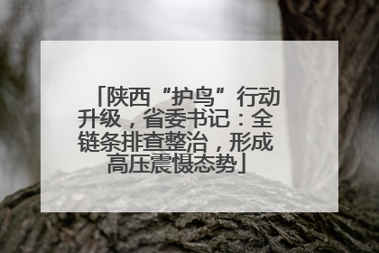 陕西“护鸟”行动升级，省委书记：全链条排查整治，形成高压震慑态势